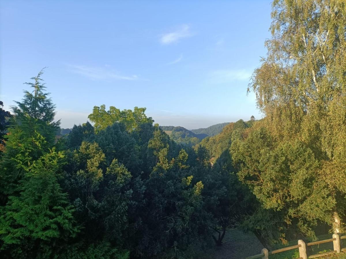 Residence Du Bois Chasson Viré 外观 照片